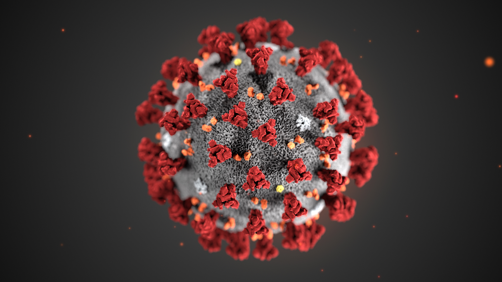 Cette illustration, créée aux Centers for Disease Control and Prevention (CDC), révèle la morphologie ultrastructurale des coronavirus. Notez les pointes, des protéines qui ornent la surface externe du virus donnant l'apparence d'une couronne entourant le virion, lorsqu'elles sont vues au microscope électronique. Un nouveau coronavirus, appelé syndrome respiratoire aigu sévère coronavirus 2 (SRAS-CoV-2), a été identifié comme la cause d'une épidémie de maladie respiratoire détectée pour la première fois à Wuhan, en Chine en 2019. La maladie causée par ce virus a été appelée maladie de coronavirus 2019 (Covid-19). © DP, Alissa Eckert, MS ; Dan Higgins, MAMS